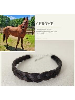 Bubba Chrome | Simple Braided Bracelet